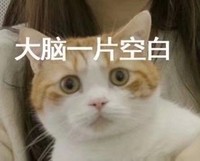 萌宠 仓鼠 嘿嘿 开心猫星人 大脑一片空白 无奈 呆萌 可爱
