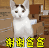 谢谢爸爸