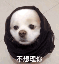 萌宠 汪星人 不想理你 生气 呆萌 可爱