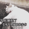楼楼 等朕睡醒了 变成小奶猫回来亲你 要等我哦 斗图