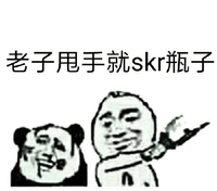 skr 劳资甩手就skr瓶子