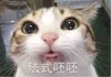 呆萌 猫咪 吐舌 法式呸呸