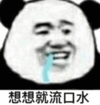 熊猫头 文字表情包 想想就流口水 搞笑 逗 沙雕