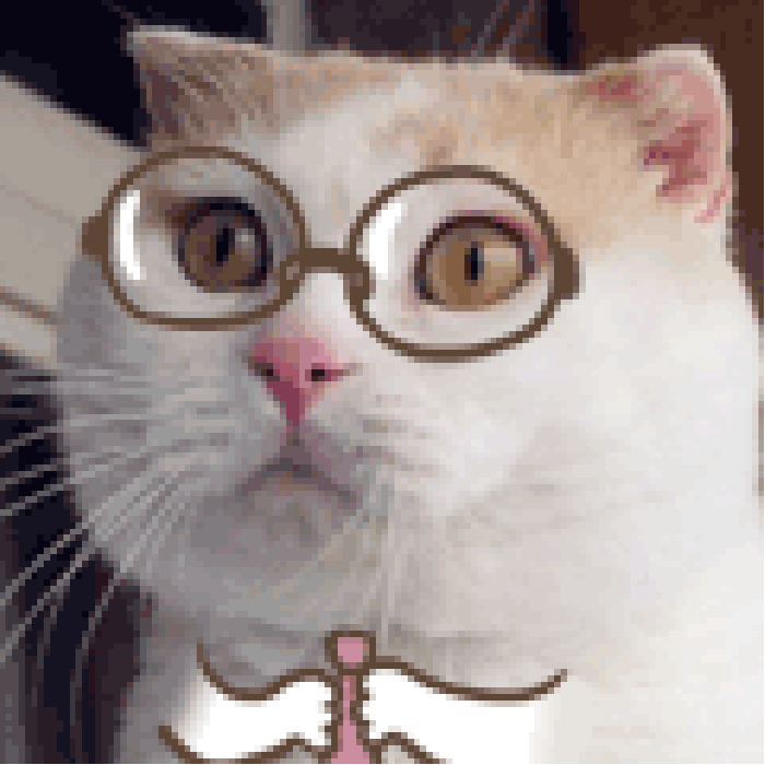 小猫 眼镜 领带 可爱