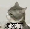 萌宠 喵星人 好了你别说了 烦死了 淘气 可爱