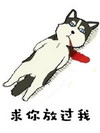 恶搞 逗比 萌萌哒 汪星人 求你放过我