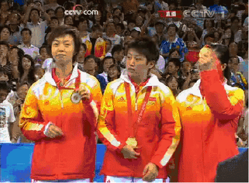 世界冠军 乒乓球 奥运会 王楠 运动员 张怡宁