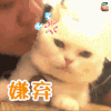 嫌弃