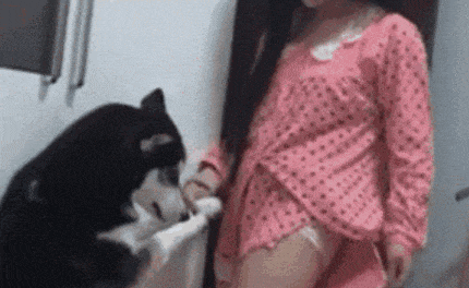 美女 狗狗 诱惑 搞笑