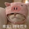 萌宠 喵星人 晚安 玛卡巴卡 搞怪 逗