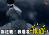 三生三世十里桃花 修仙 白浅 素素 刘亦菲 soogif soogif出品