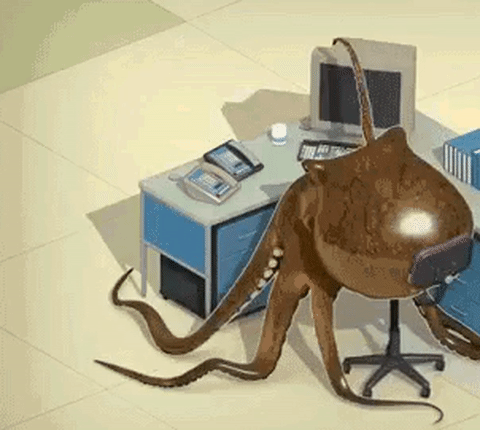 专家 工作 电脑 章鱼