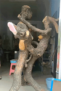 木头 艺术 雕刻