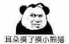 小熊猫 熊猫人 暴漫 耳朵摸了摸小熊猫