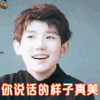 你说话的样子真美 王源 赞 soogif soogif出品