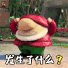 淘气大侦探 发生了什么 soogif soogif出品