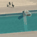 狗狗 猫咪 泳池 滑行