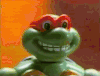 忍者神龟 Teenage+Mutant+Ninja+Turtles 玩具 鬼畜 转头