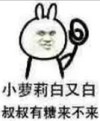 暴漫 恶搞 雷人 斗图 无节操 小萝莉白又白 叔叔有糖来不来