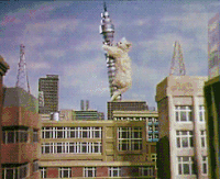 酷炫 建筑 猫咪 倒塌
