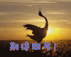 四月你好