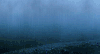下雨 秋天 景色 nature