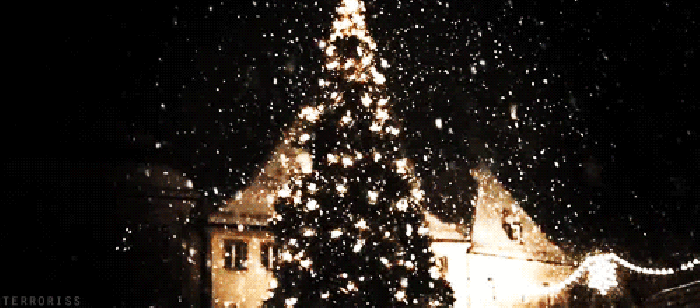 下雪 圣诞树 夜晚 灯光