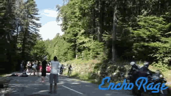 环法自行车 树林 比赛 选手