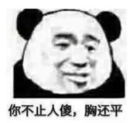 暴漫 熊猫头 你不止人傻胸还平 搞笑 逗 魔性