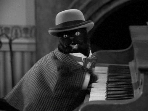 黑白 猫 好可爱 钢琴