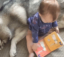 萌娃 看书 狗狗 可爱