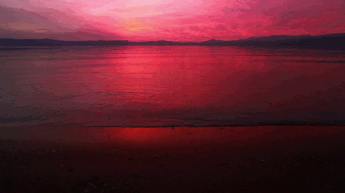 大海 夕阳 粉色 美景