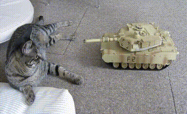 猫 cat 坦克 攻击 害怕