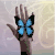 蝴蝶 butterfly animal 手托