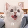 萌宠 喵星人 馋 想吃 搞怪 逗