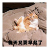 萌宠 喵星人 每天又要早起了 难受 搞怪 逗