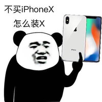 熊猫头 不买iphonex怎么装x 斗图 搞笑 苹果手机