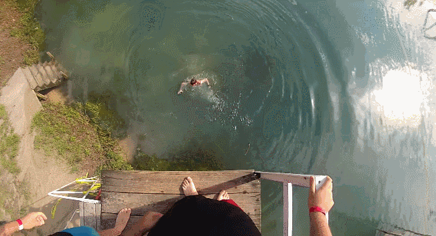 湖 跳水 鲨鱼 可怕