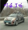 汽车 僵尸 血腥 吓尿了吧