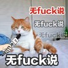 萌宠 喵星人 无话可说 我好无语 呆萌 憨憨