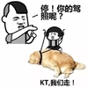 停 你的驾照呢 kt我们走 狗狗 恶搞