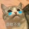 萌宠 喵星人 忍住不哭 我好委屈 呆萌 可爱