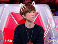最强大脑 郭敬明 猫 害羞 脸红