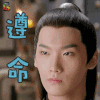 楚乔传 邢邵林 月七 遵命 搞怪 soogif soogif出品