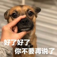 萌宠 汪星人 好了好了 你不要再说了 呆萌 可爱