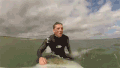 冲浪 动物 运动 海洋 海浪 surfing