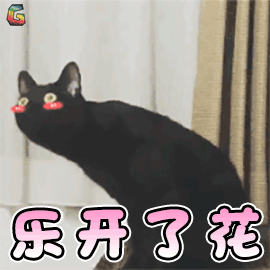 萌宠 猫咪 猫 开心 乐开了花 soogif soogif出品