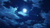 天空 夜晚 月亮 飘雪