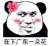 暴漫 文字表情包 在下广东一枝花 搞笑 逗 沙雕