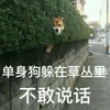 萌宠 汪星人 单身狗躲在草丛里 不敢说话 搞怪 逗